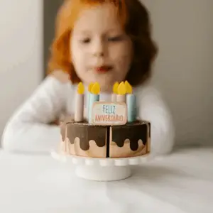 Bolo de Faz de Conta Educativo De Aniversário Brinquedo